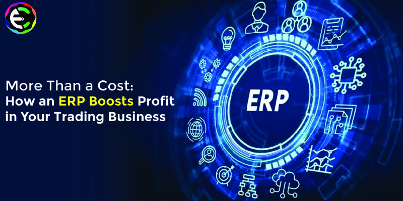 More Than a Cost: How an ERP Boosts Profit in Your Trading Business